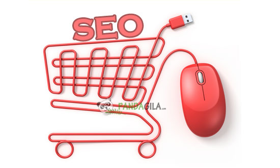 SEO,ecommerce,otpimasi,toko online,website