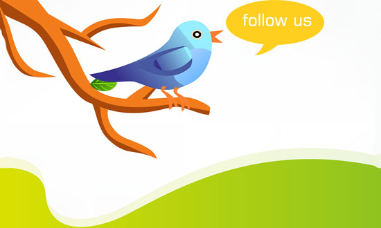 follower,twitter,social media,pengikut,fans