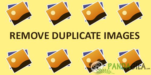 Mengatasi Gambar Mengatasi Duplikat (Duplicate Image)